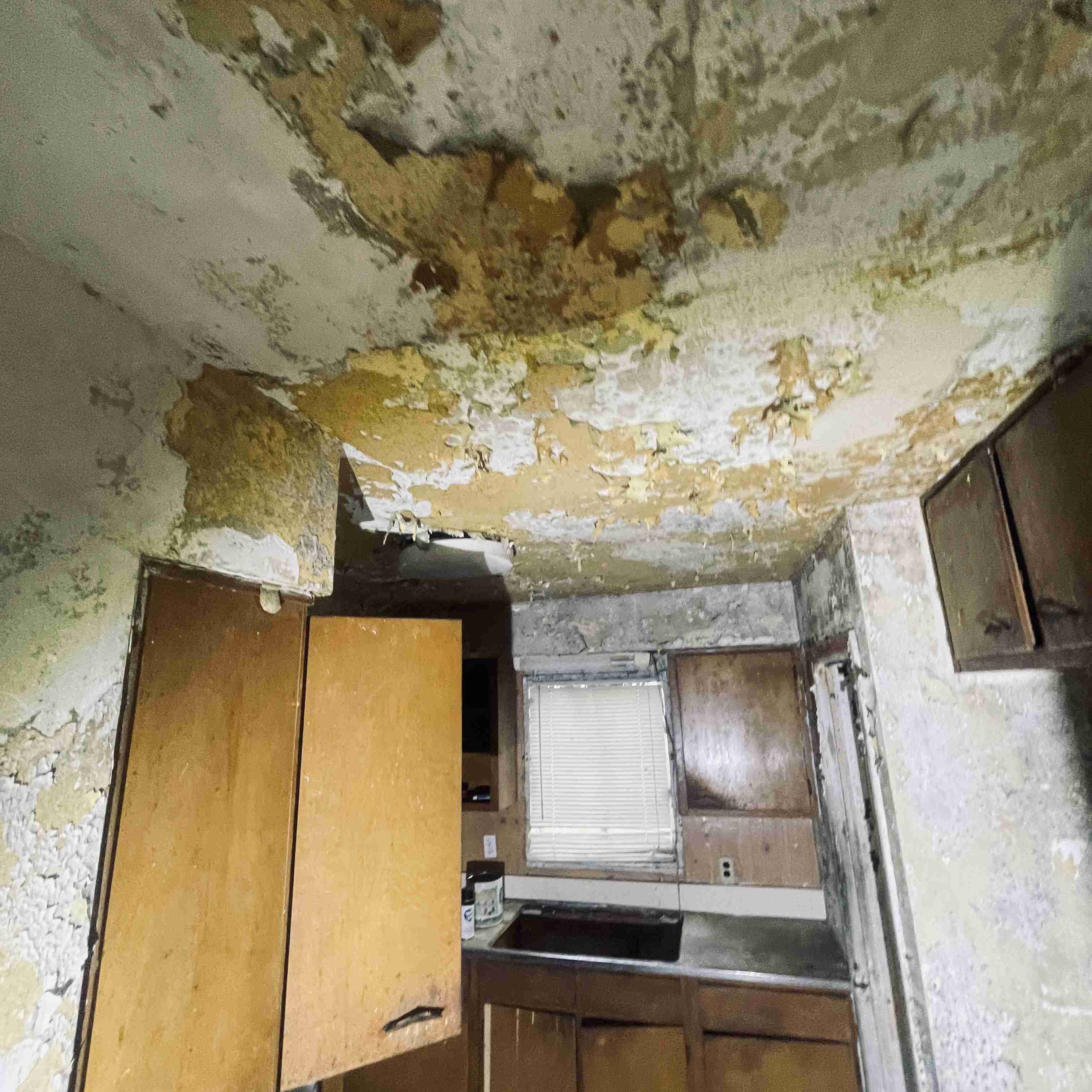 4277 TUXEDO (32).jpg